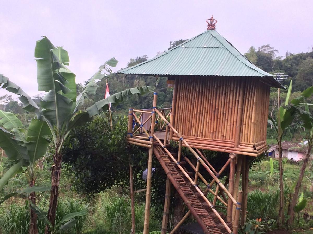Bali Tree House Pelangi Lägenhet Bedugul  Exteriör bild