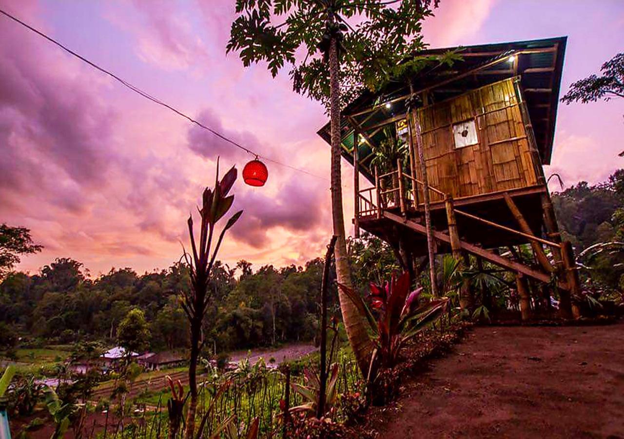 Bali Tree House Pelangi Lägenhet Bedugul  Exteriör bild