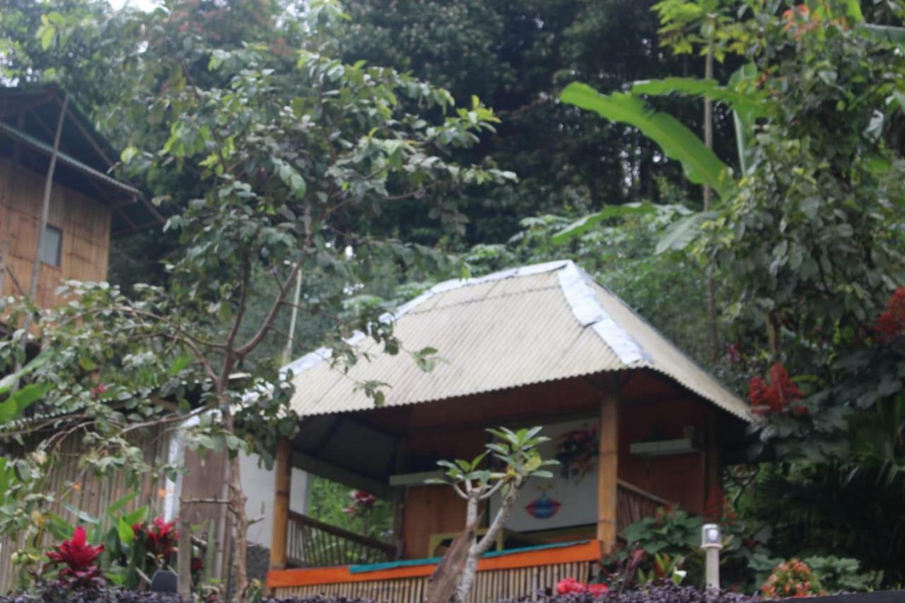 Bali Tree House Pelangi Lägenhet Bedugul  Exteriör bild