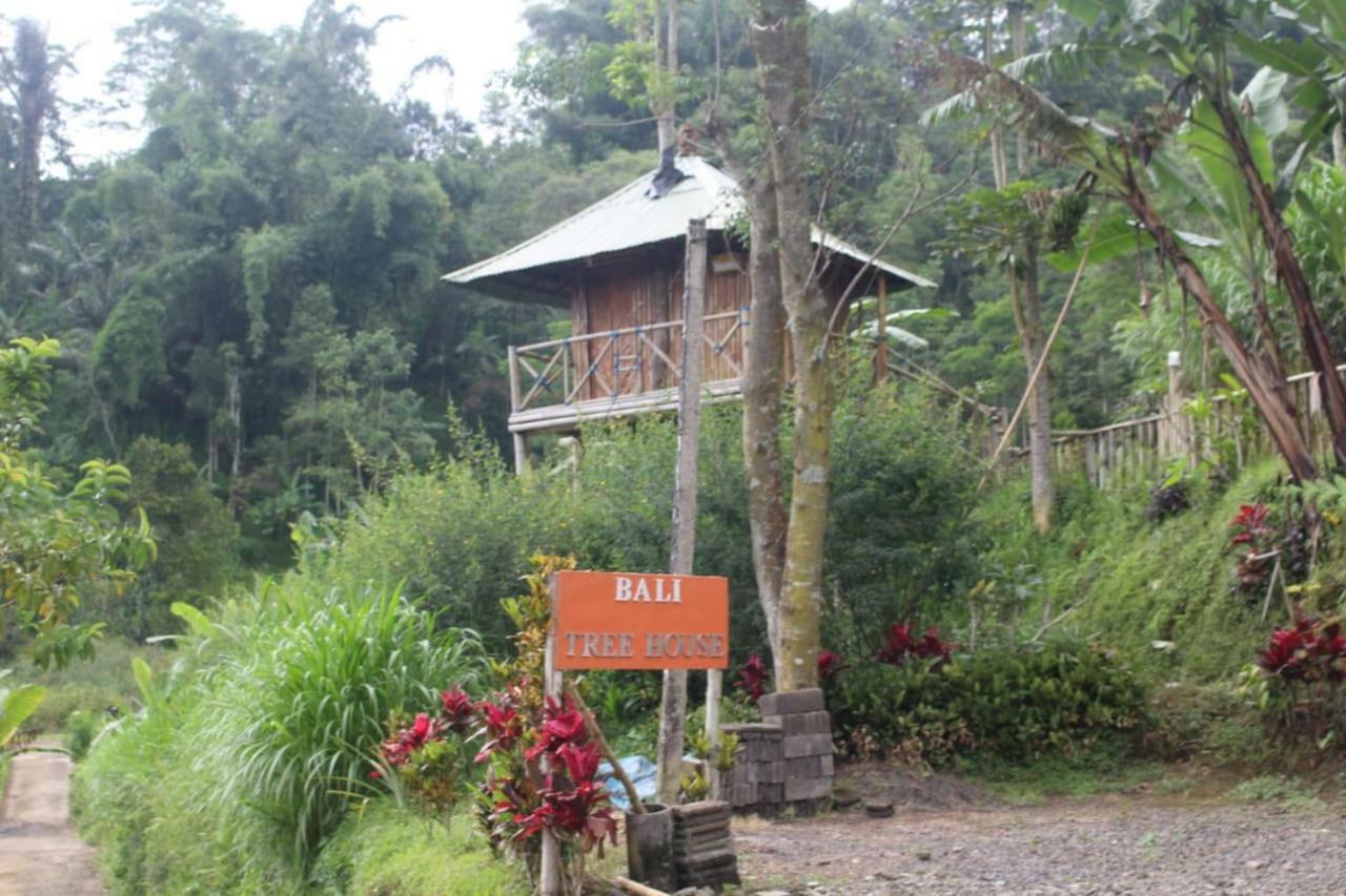 Bali Tree House Pelangi Lägenhet Bedugul  Exteriör bild
