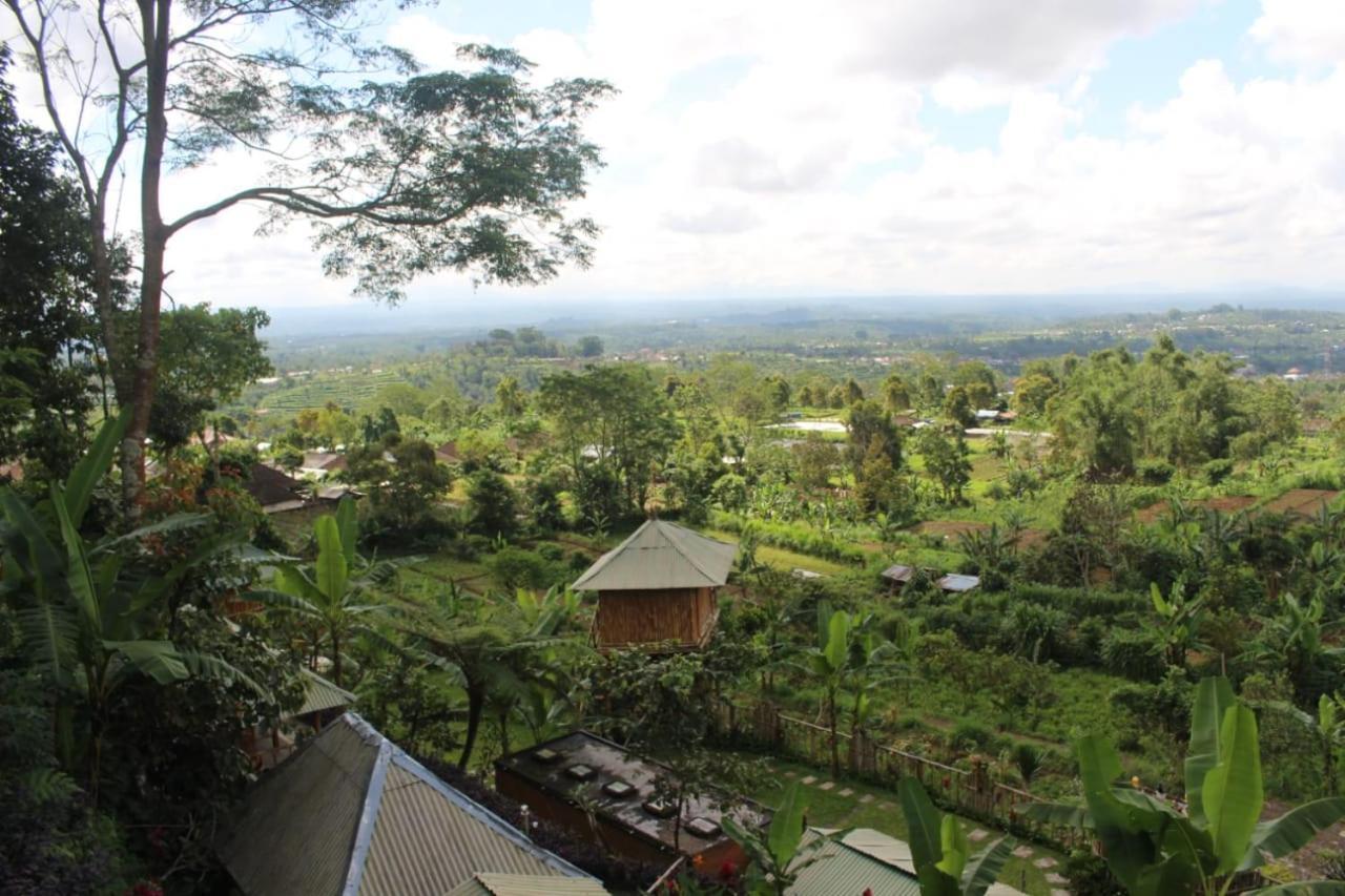 Bali Tree House Pelangi Lägenhet Bedugul  Exteriör bild