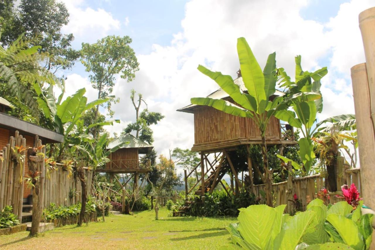 Bali Tree House Pelangi Lägenhet Bedugul  Exteriör bild