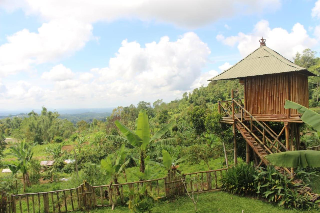 Bali Tree House Pelangi Lägenhet Bedugul  Exteriör bild