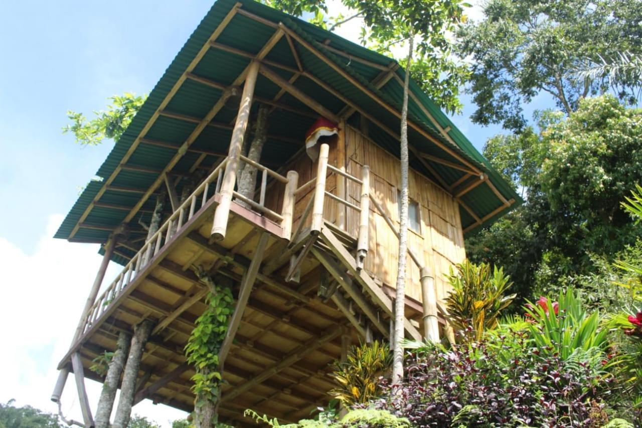 Bali Tree House Pelangi Lägenhet Bedugul  Exteriör bild