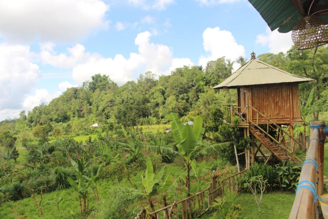 Bali Tree House Pelangi Lägenhet Bedugul  Exteriör bild